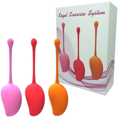 �P�[�Q������������