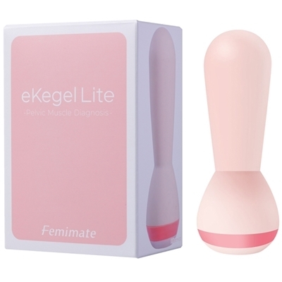 �t�F�~���C�g�@�����������@�k�������i�C�[�P�[�Q�����C�g�j