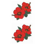 �^�g�D�[�V�[���@�n�C�r�X�J�X(�^�g�D�[�E�h�V�[��)